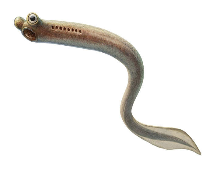 image38.png