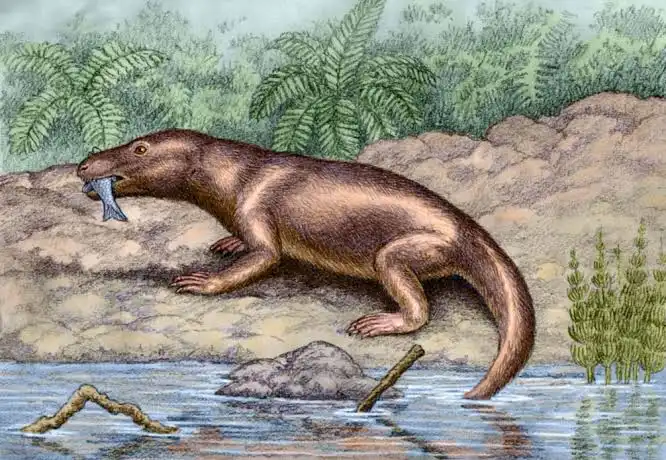 image32.png