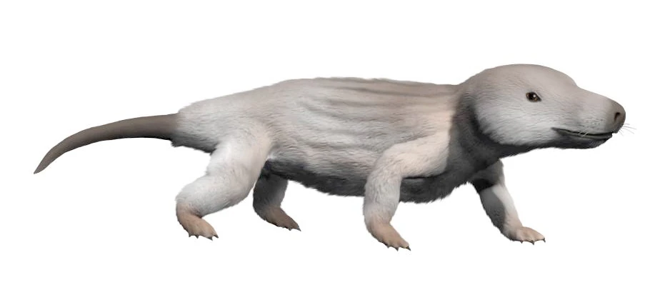 image30.png