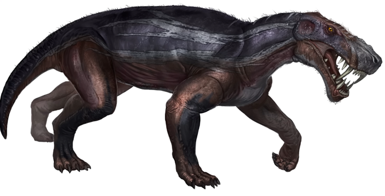 image37.png