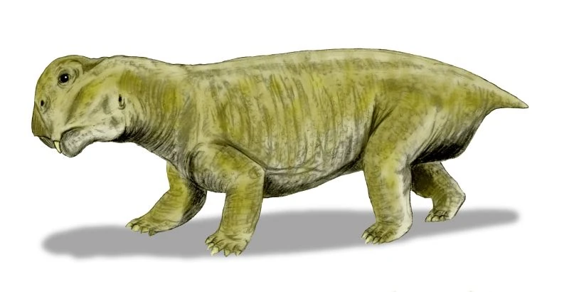 image33.png