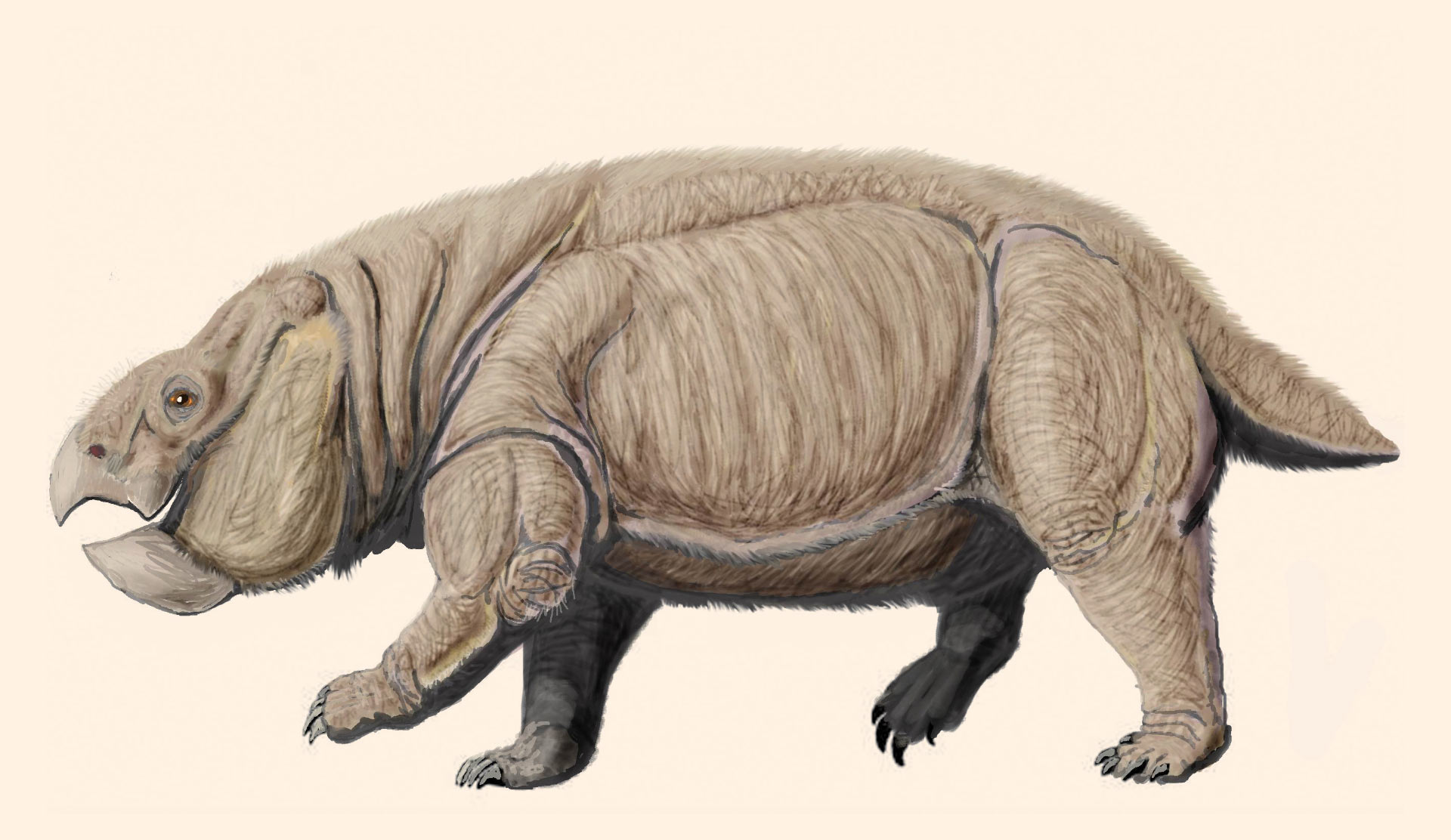 image43.png