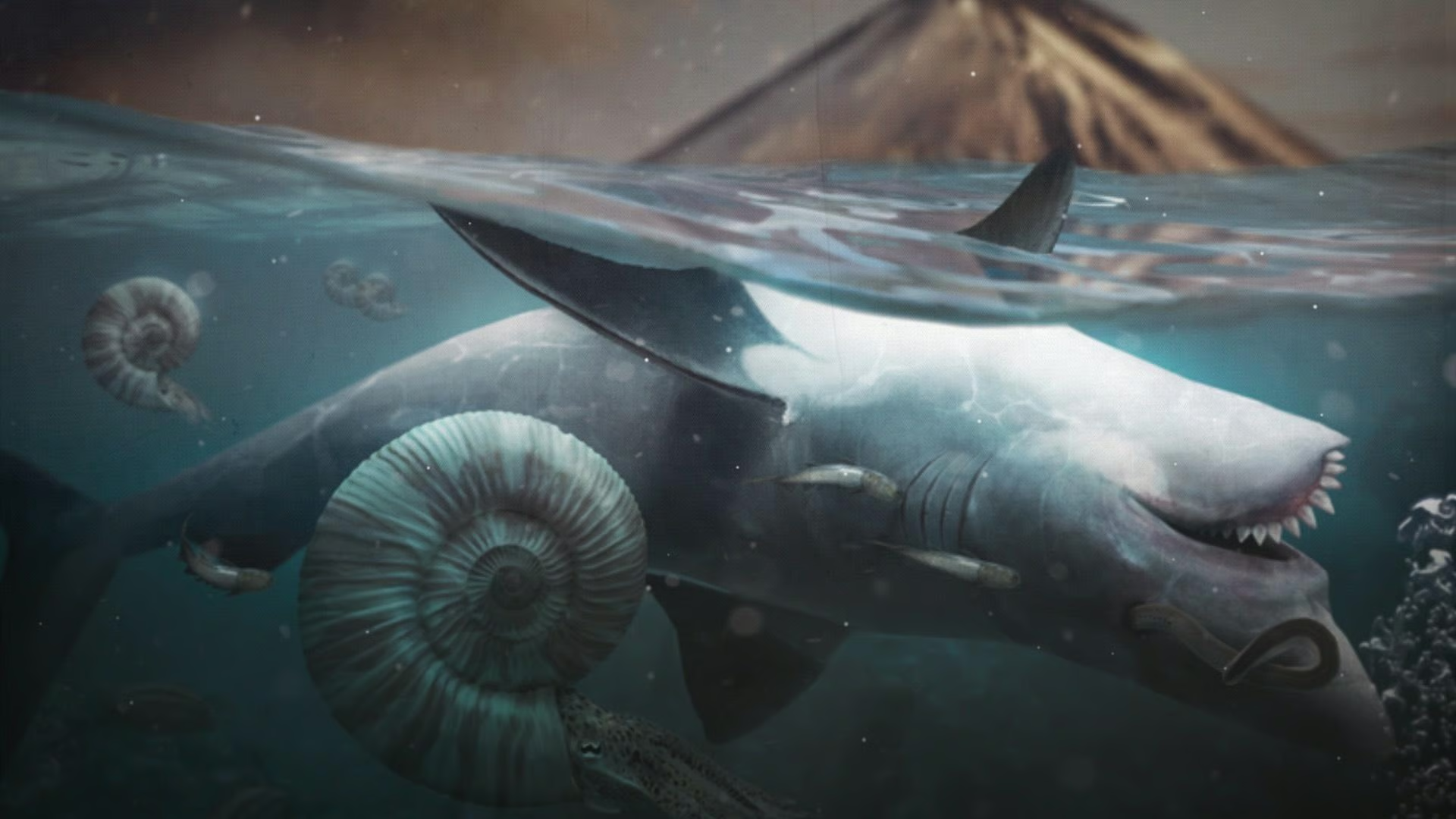 image45.png