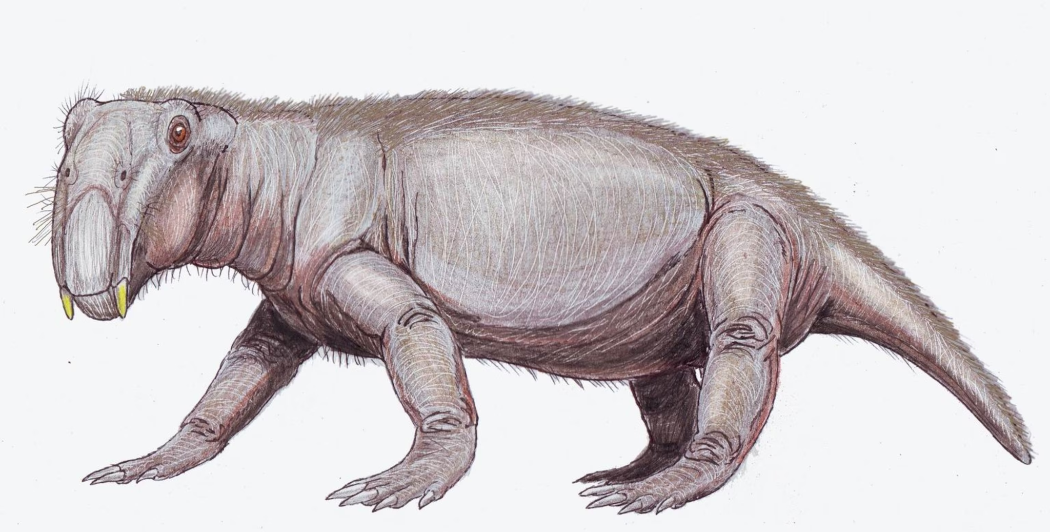 image44.png