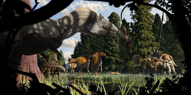 image41.png