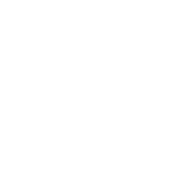 ALTIUS™