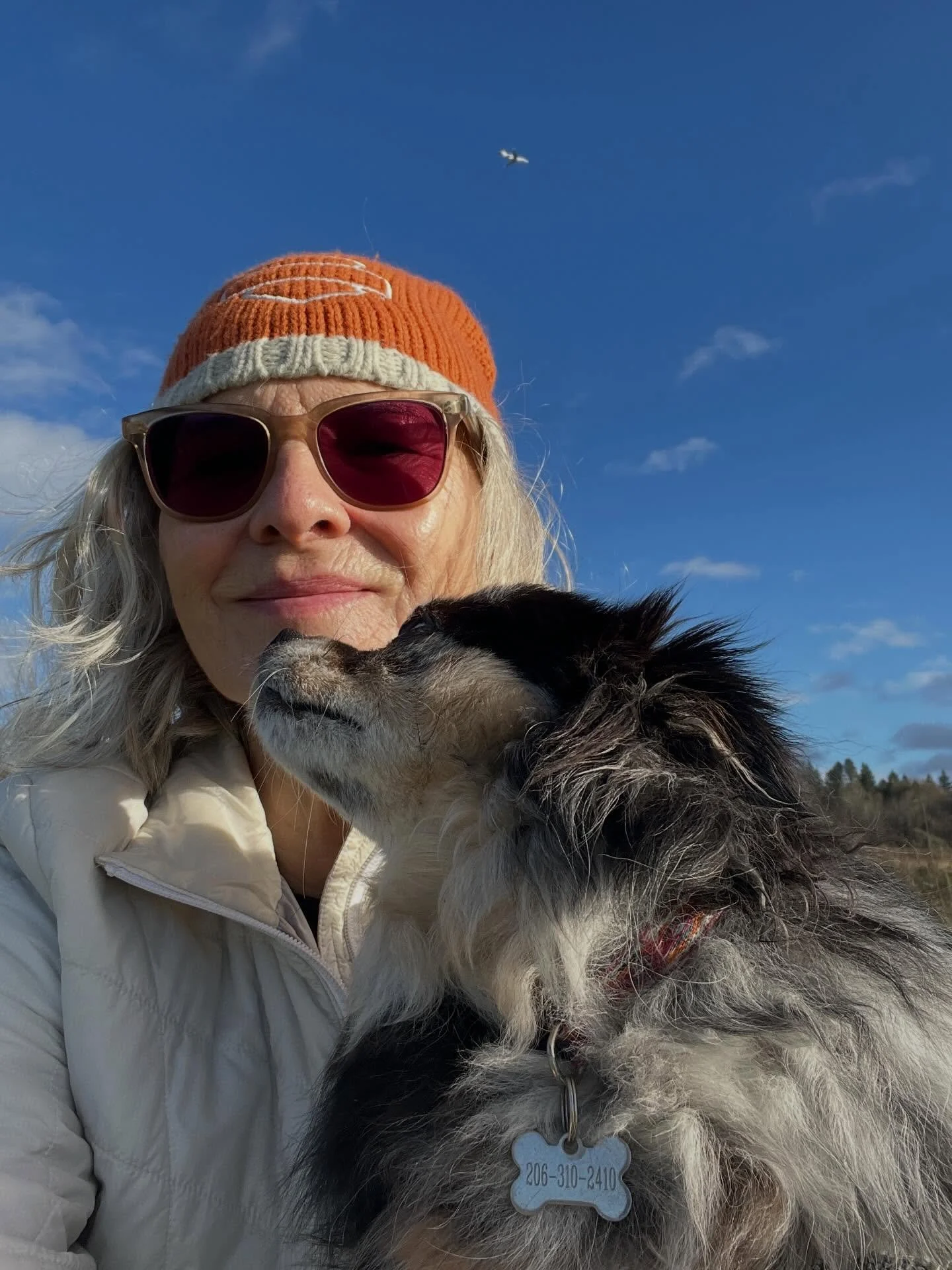A reprieve from the rain ! Spike explores Discovery Park, prefers bed rest.