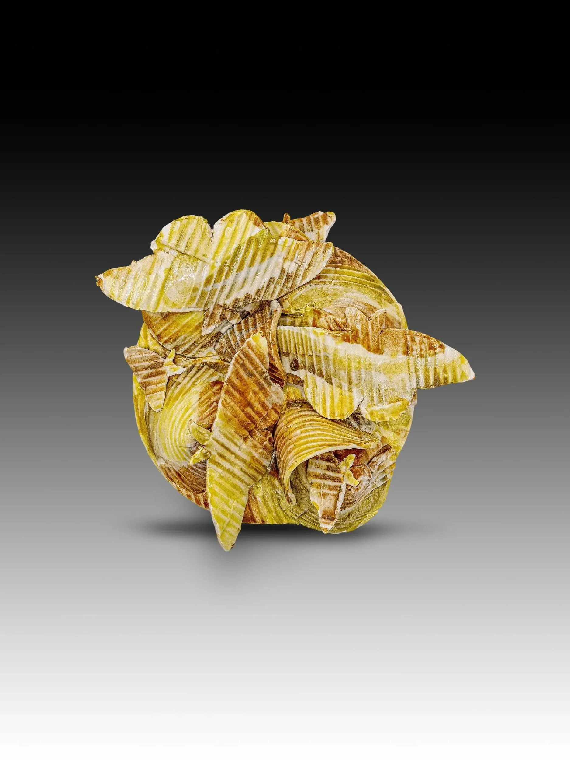 SLEEPER | 7.5" dia x 3" | $200