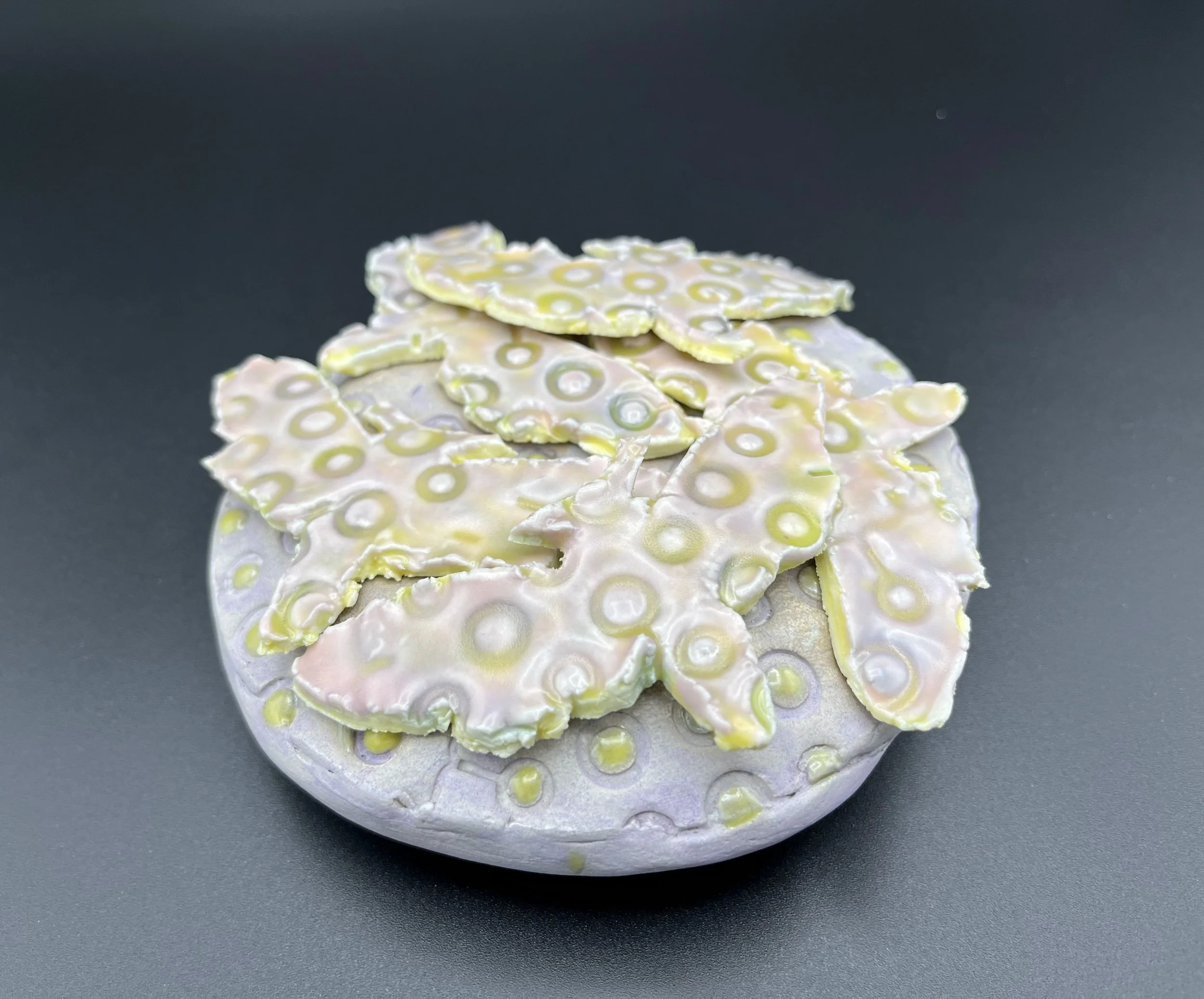 Schwa e-Juliet Schwalbach-beginning moth.jpeg