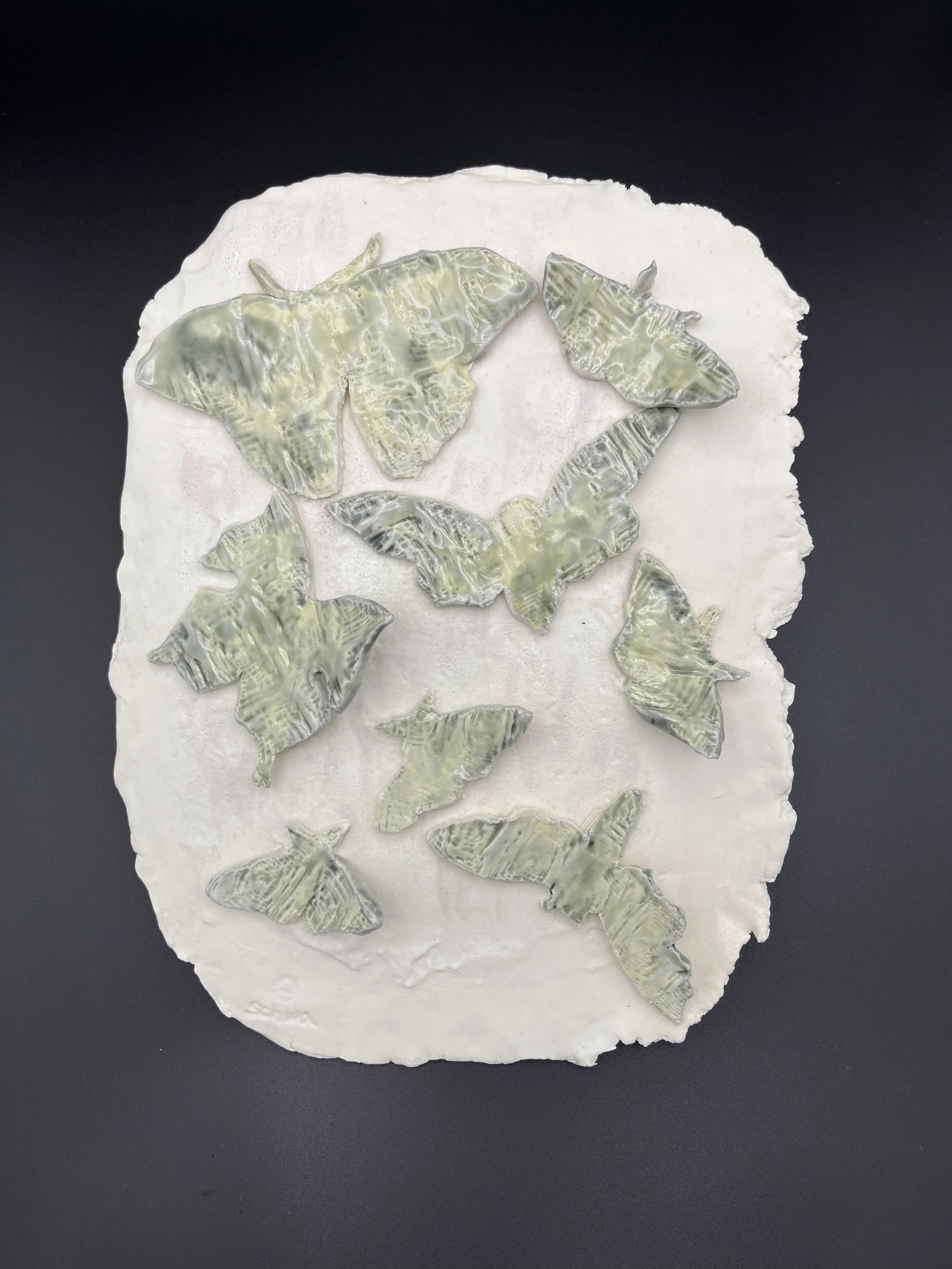 Schwa e-Juliet Schwalbach-plaster moth.jpeg