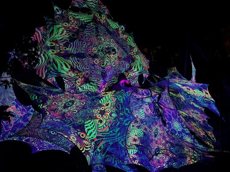 UV Art by ShivaOm - psychedelic