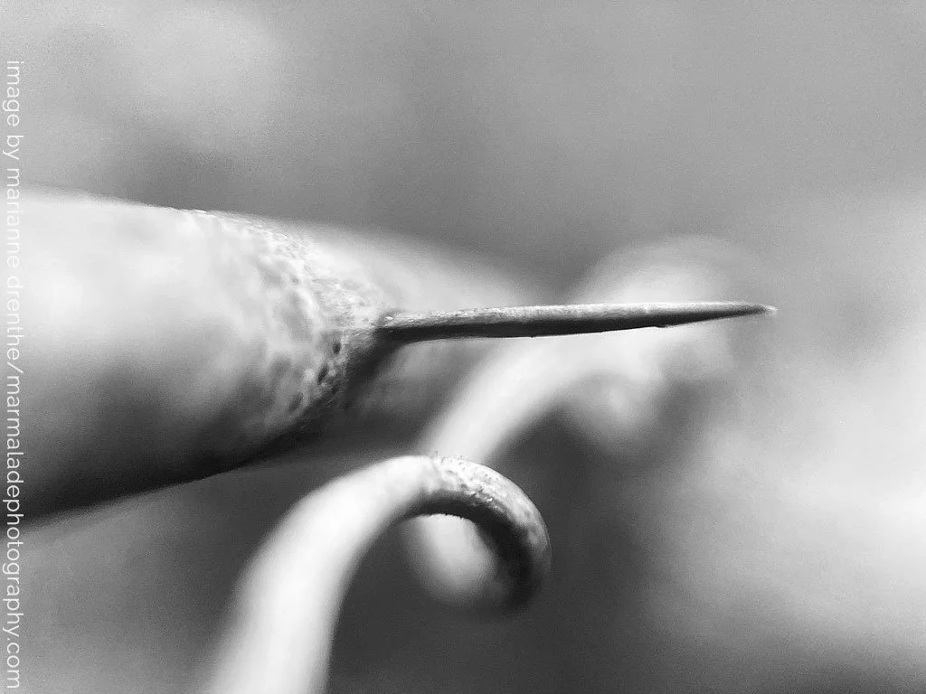 _Marianne Drenthe_photographer - black & white