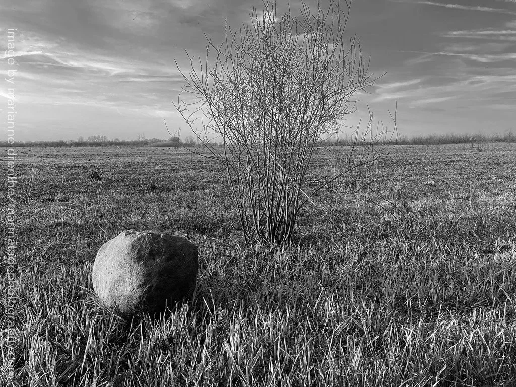 _Marianne Drenthe_photographer - rock in a field