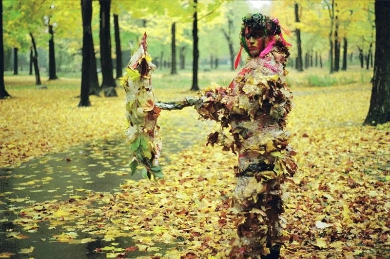 woman in leaves