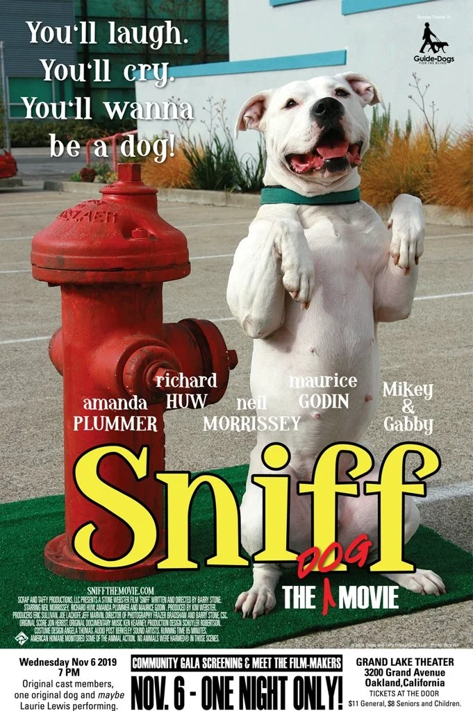 Making Sniff: Guide Dogs, Puppet Hosts, and Amanda Plummer in a Dog Hotel