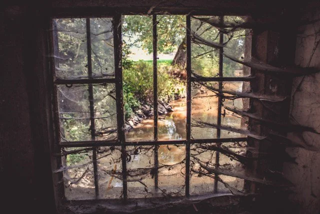 Marc Wayne Schechtel - photographer