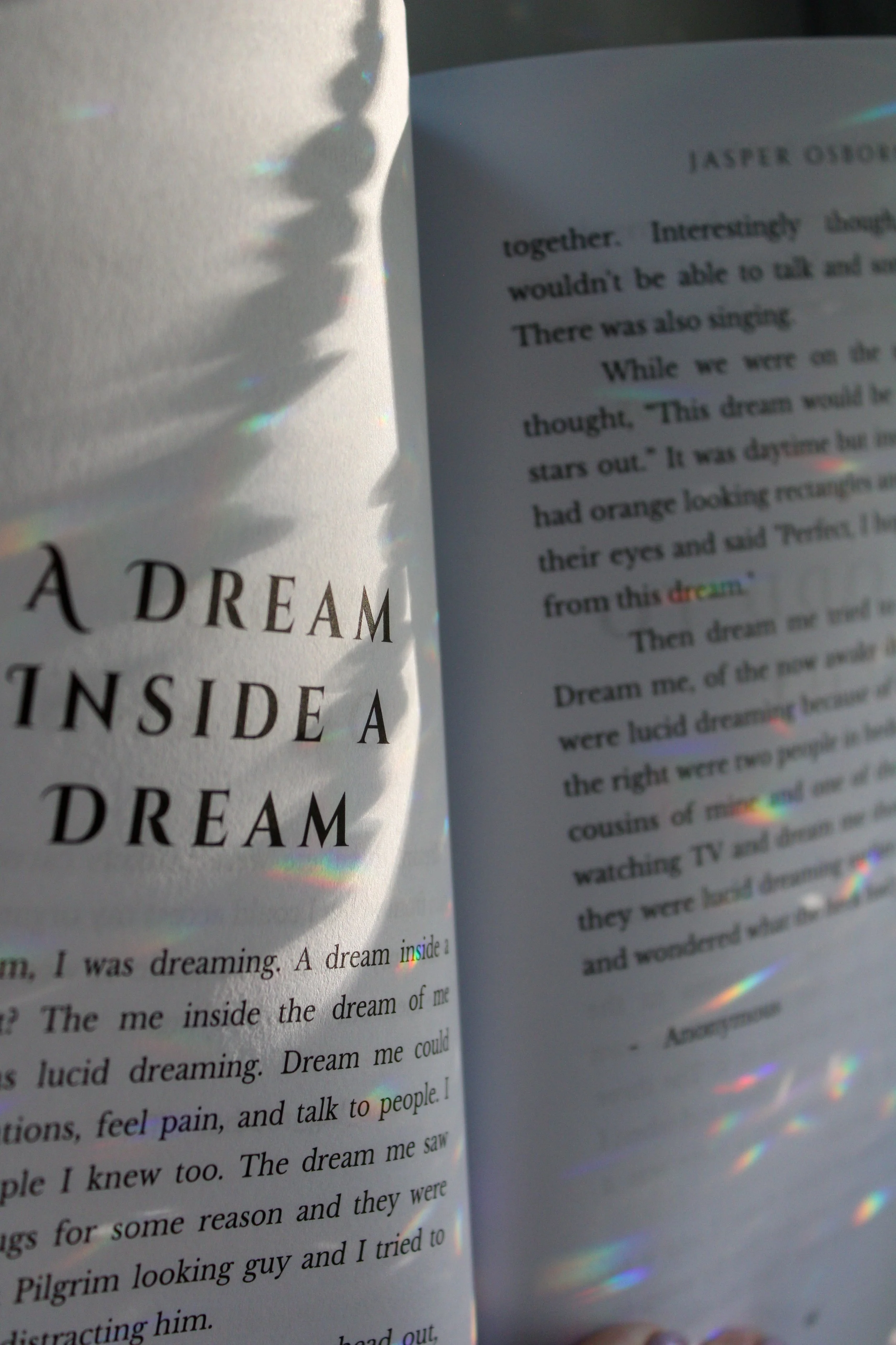 Dreams We Made Along the Way - sneak peak