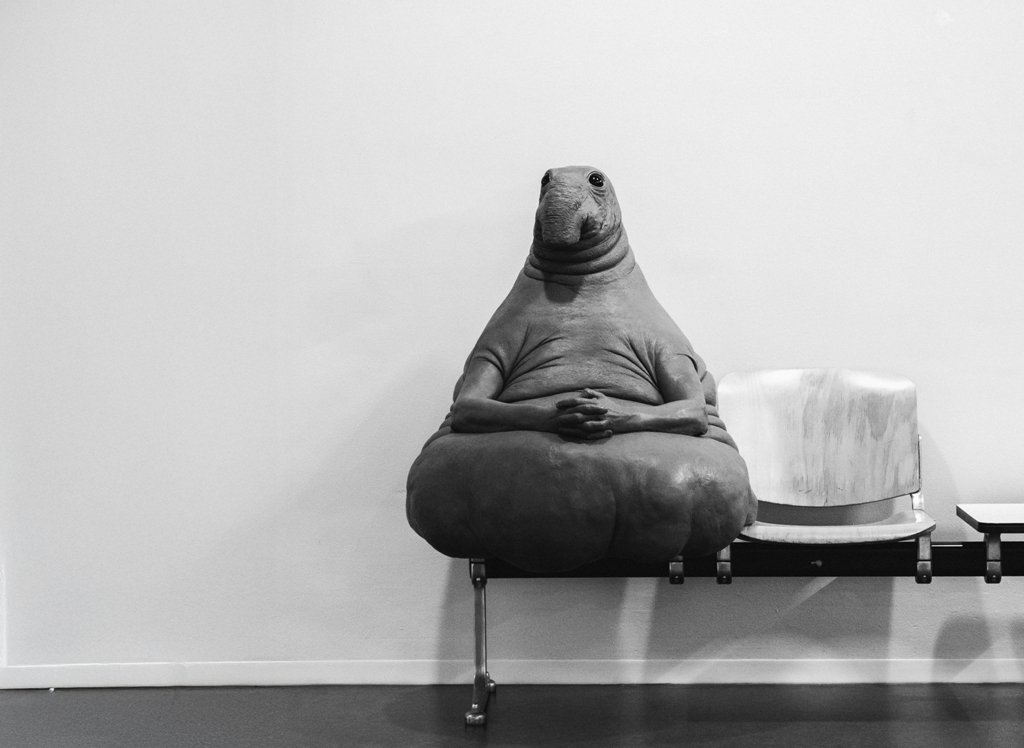 Homunculus loxodontus by Margriet van Breevort