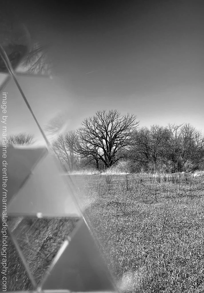 _Marianne Drenthe_photographer - reflection in field