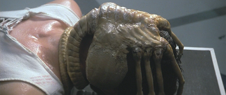 Facehugger from Alien movie