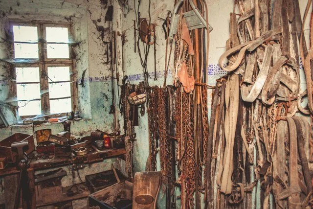 Marc Wayne Schechtel - photographer