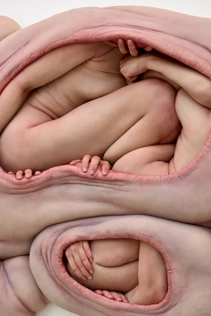 cacoons by Margriet van Breevort