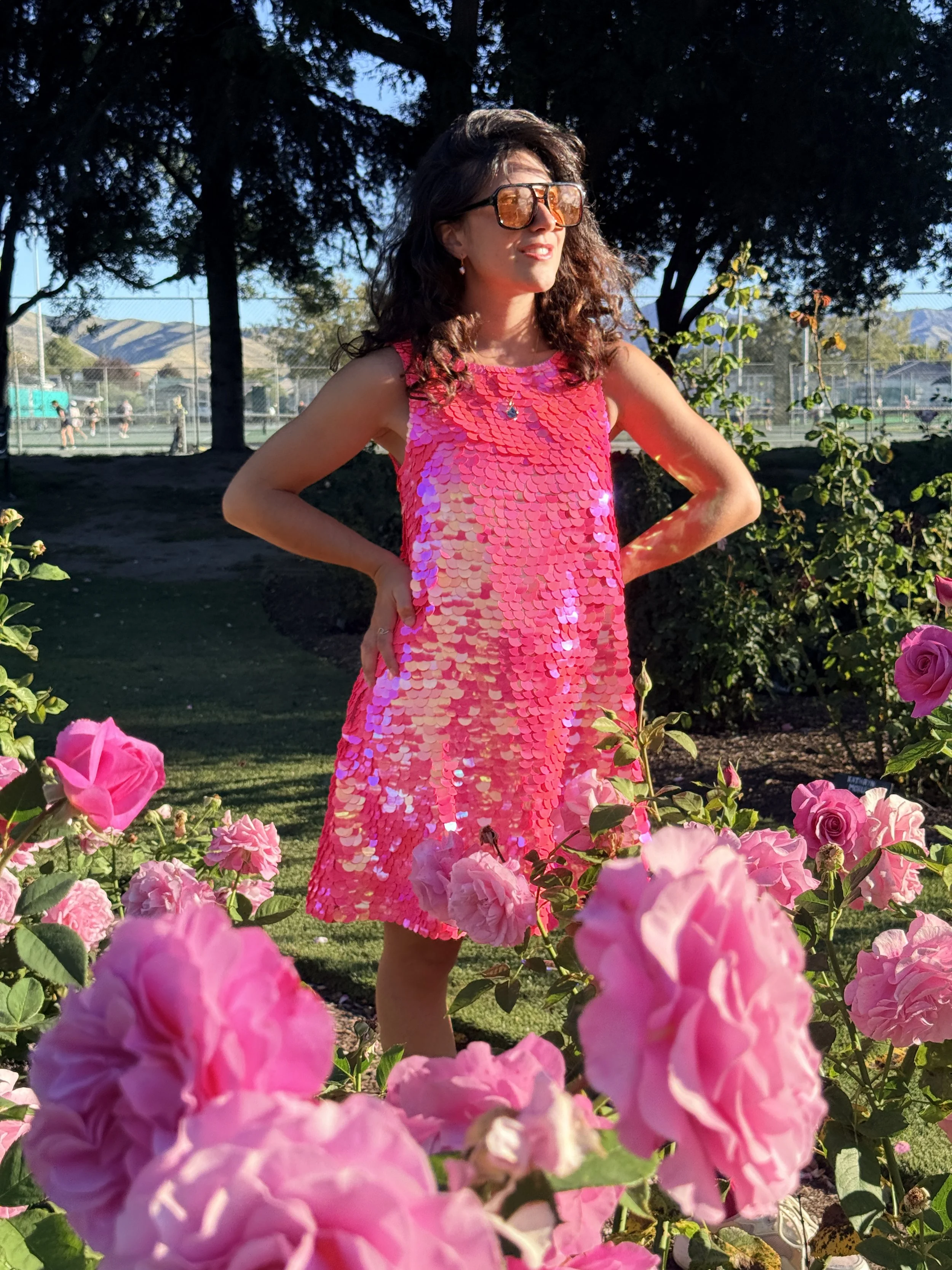 Nova Sequin Dress of Dreams