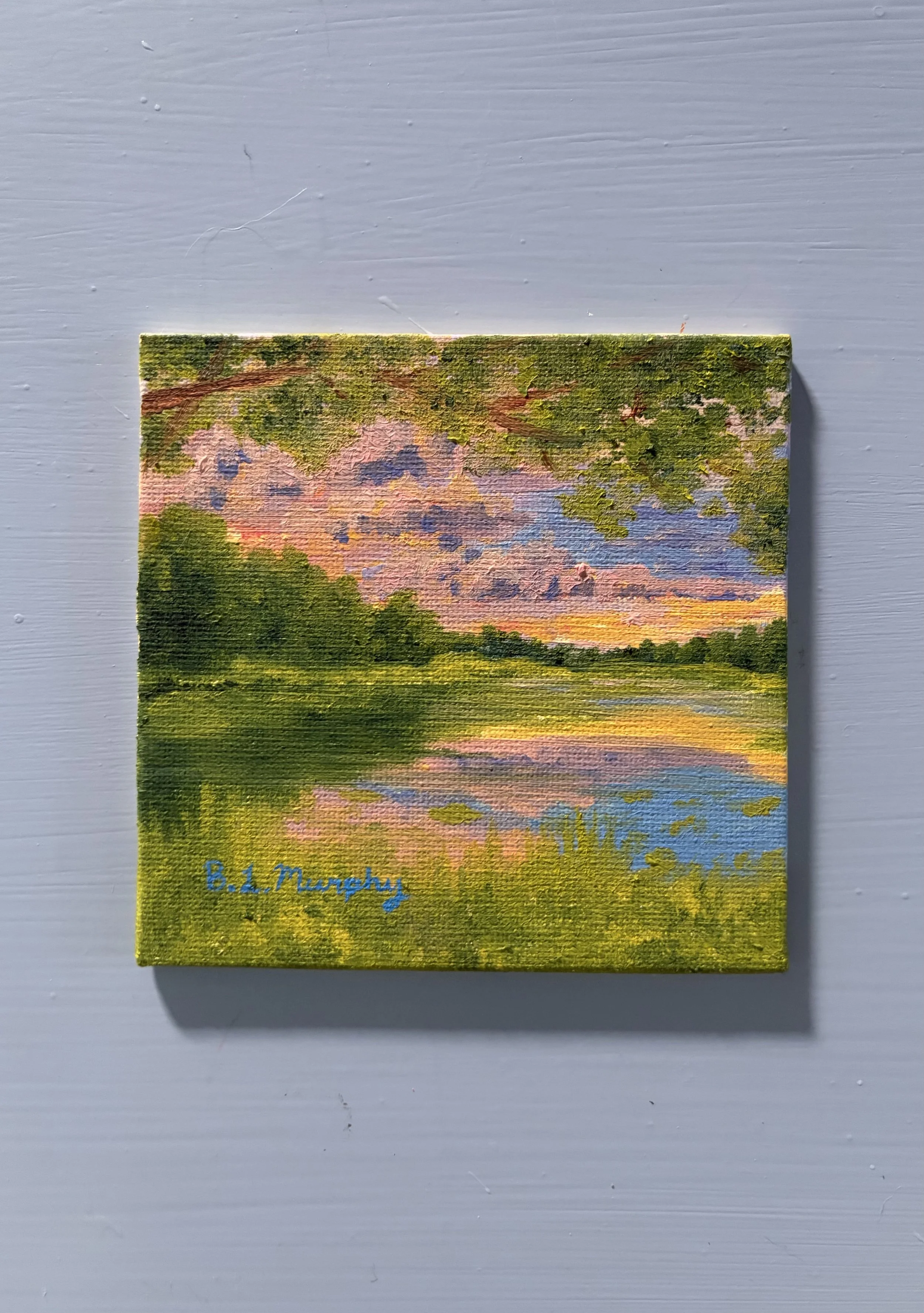 "The Allure of the Swamp, #2"