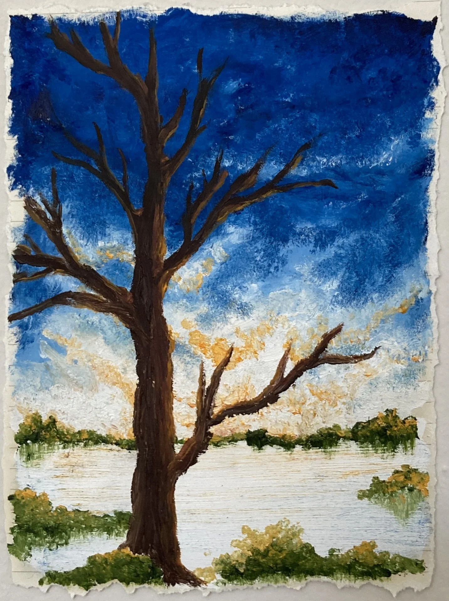 art - evening tree.JPG