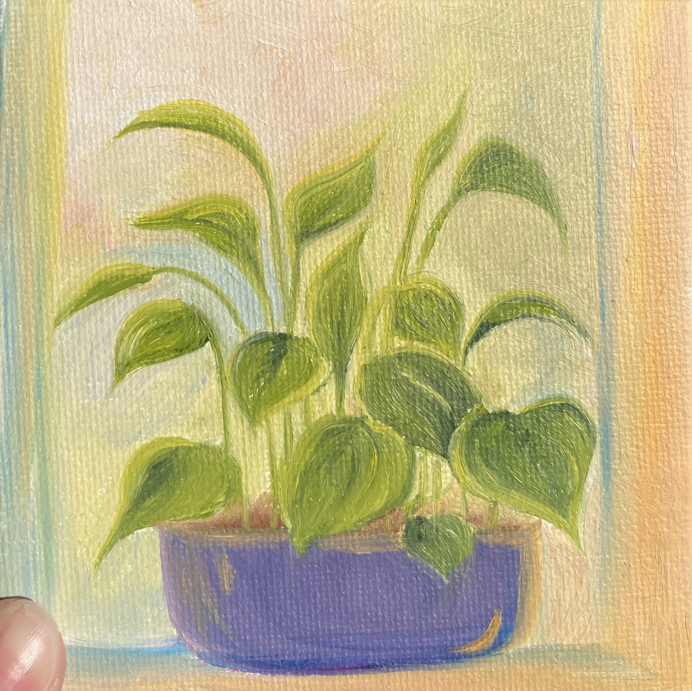 art - pothos (tiny).JPG