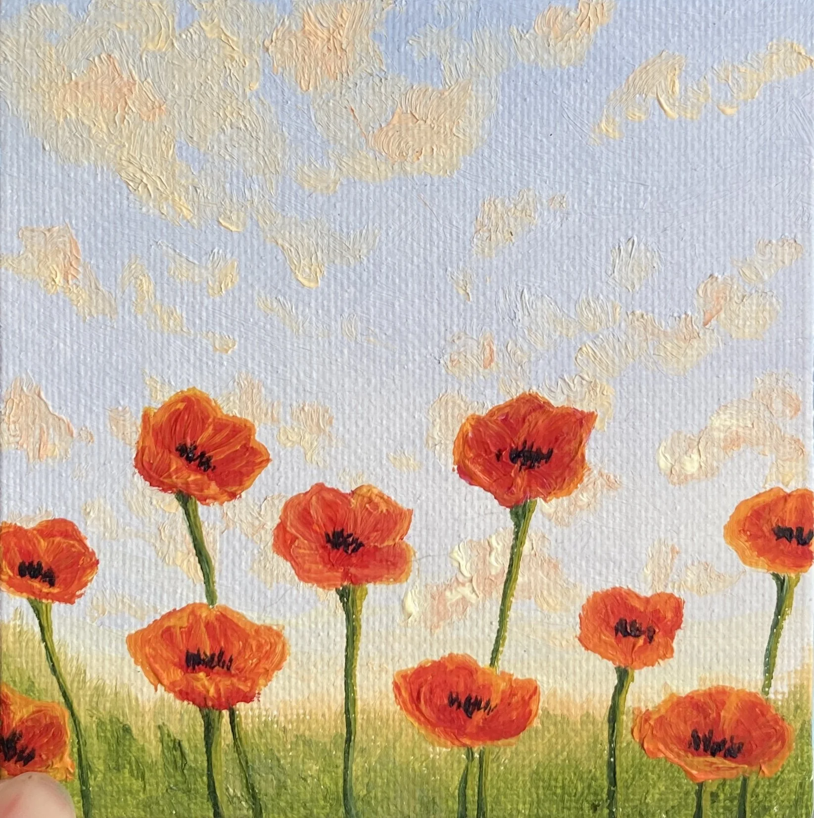 art - poppies (tiny).JPG