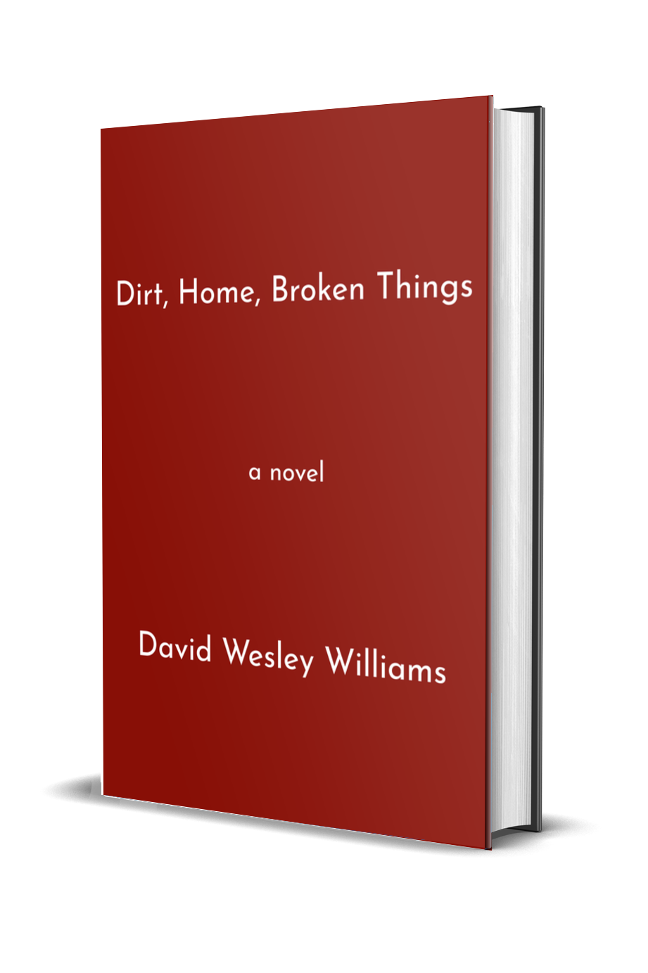 Temporary cover of Dirt, Home, Broken Things by David Wesley Williams