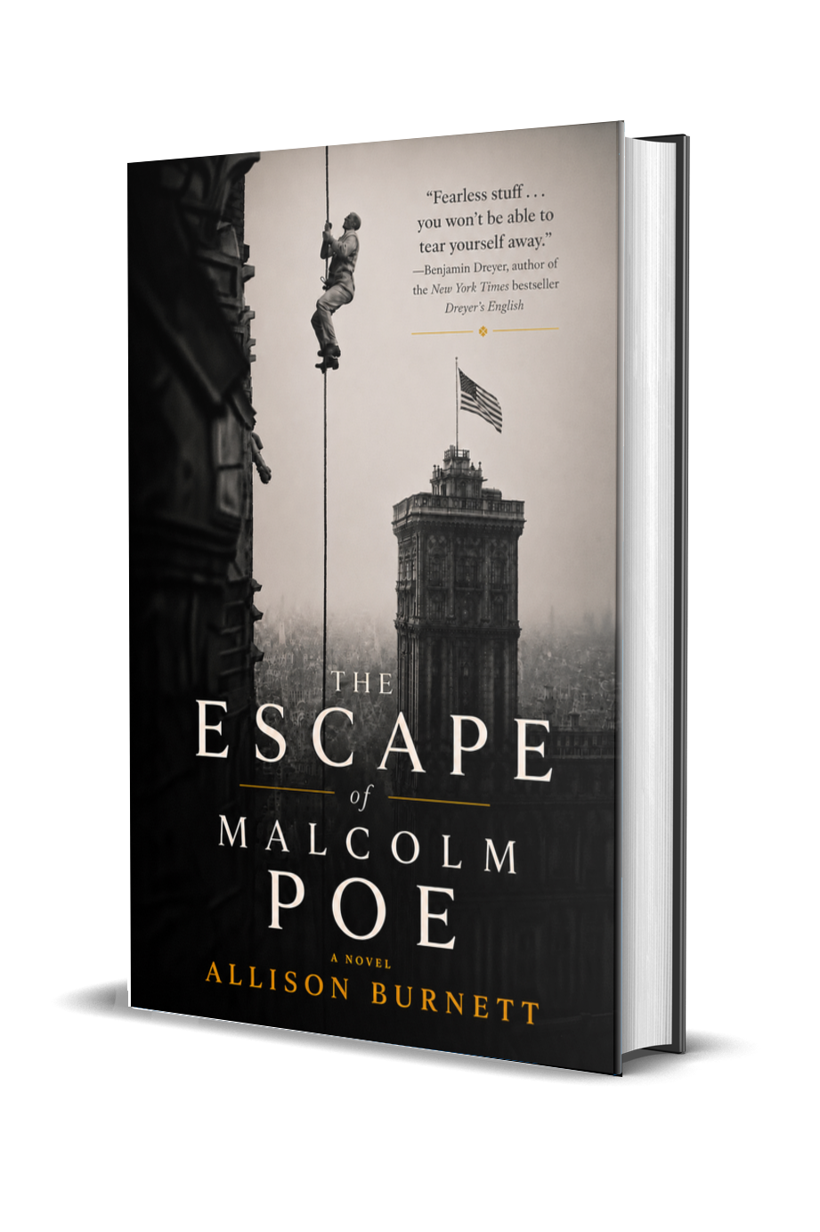 Temporary cover of The Escape of Malcolm Poe by Allison Burnett