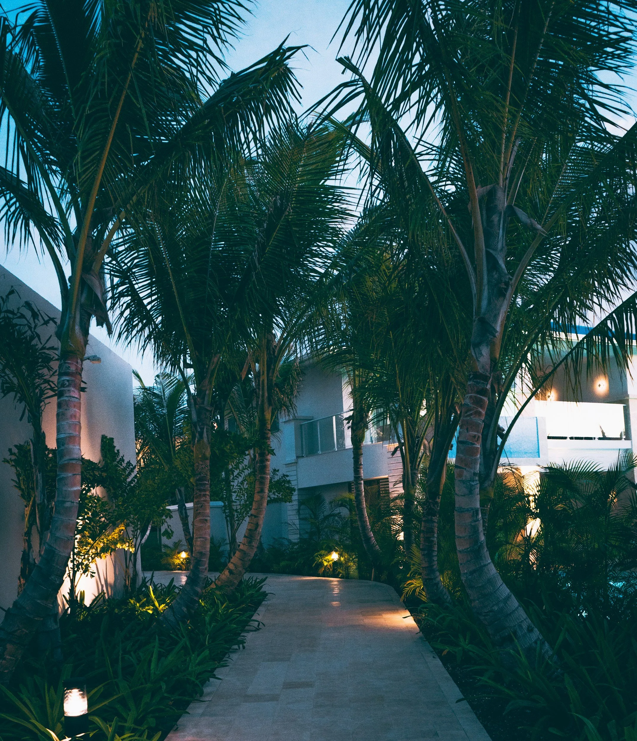 When Estate Planning Goes Wrong: The Jimmy Buffett Trust Dispute