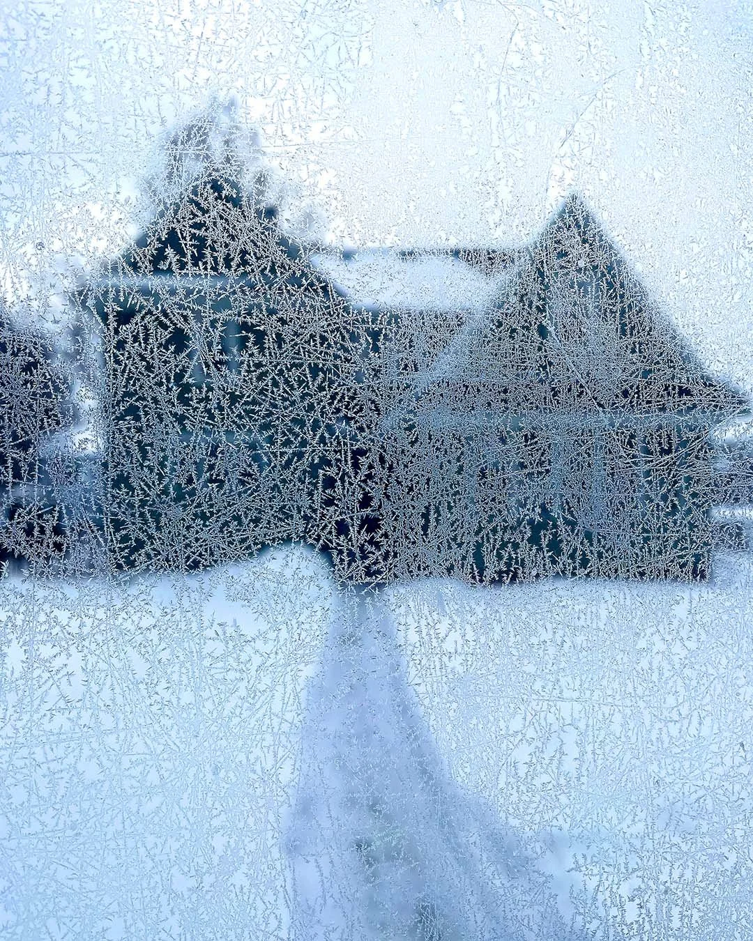 The 100 Day Project #57