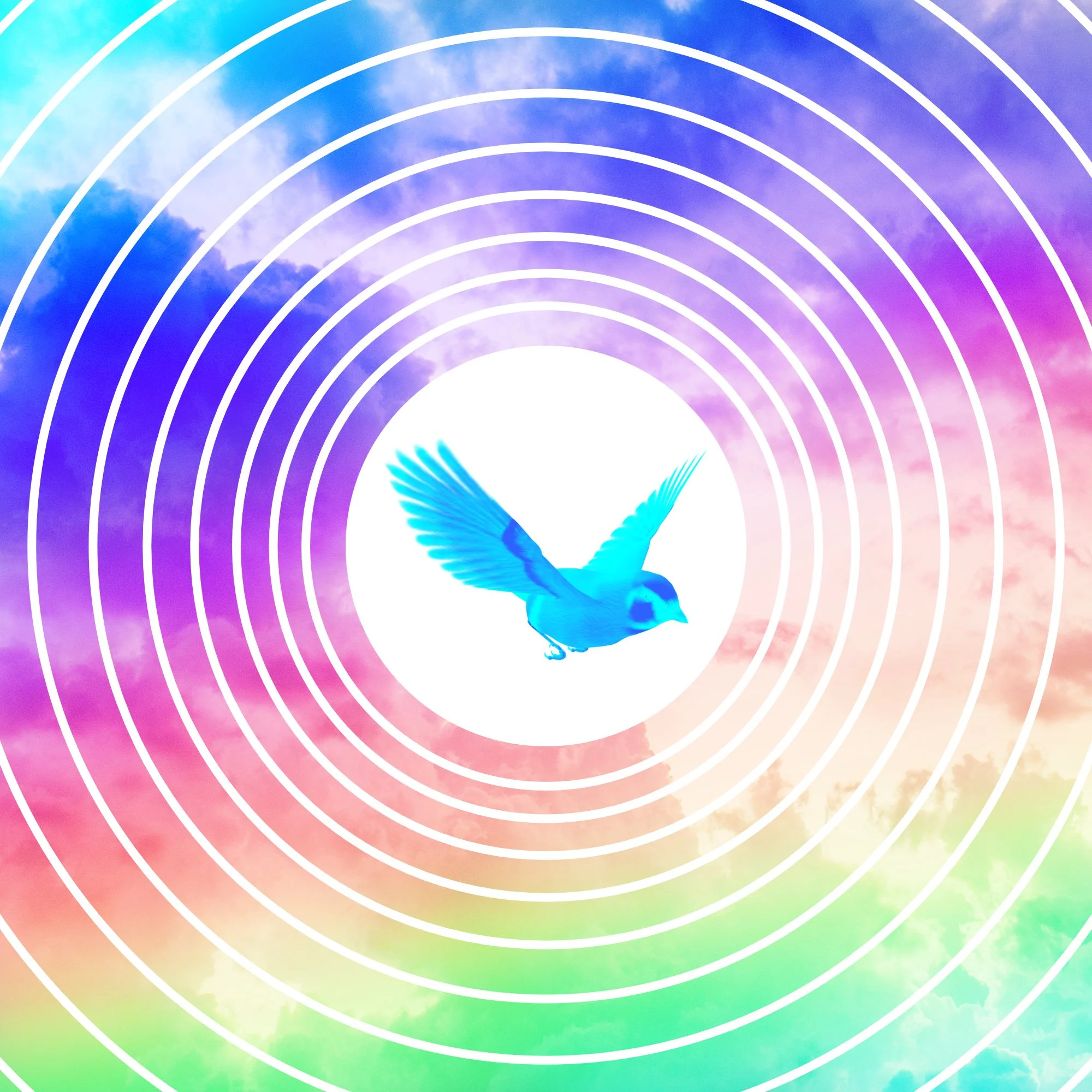 Colorz.jpg