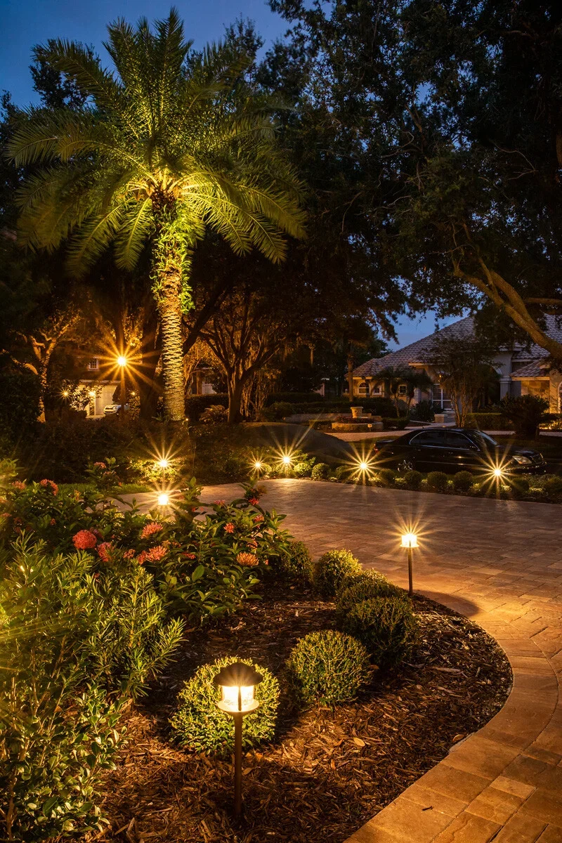 A well-lit residential driveway at night with a large palm tree, various bushes, and flower plants, illuminated by decorative outdoor lights and surrounded by a quiet neighborhood with houses and cars.