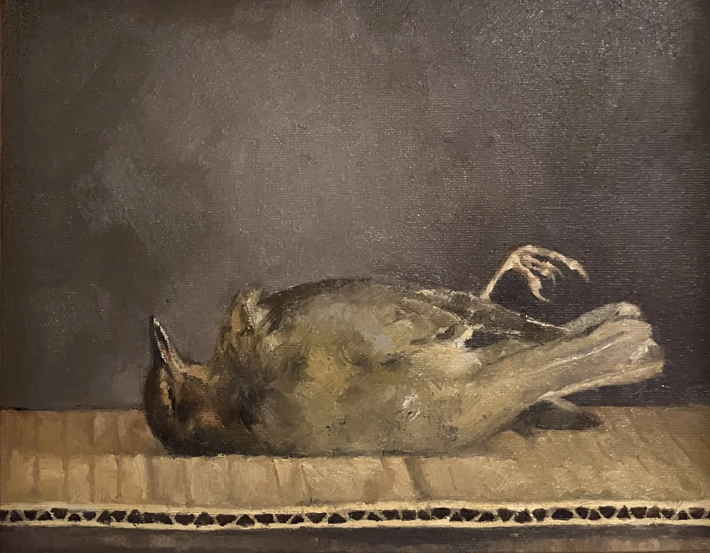 "Study of Thrush", 8"x10", Oil on Panel