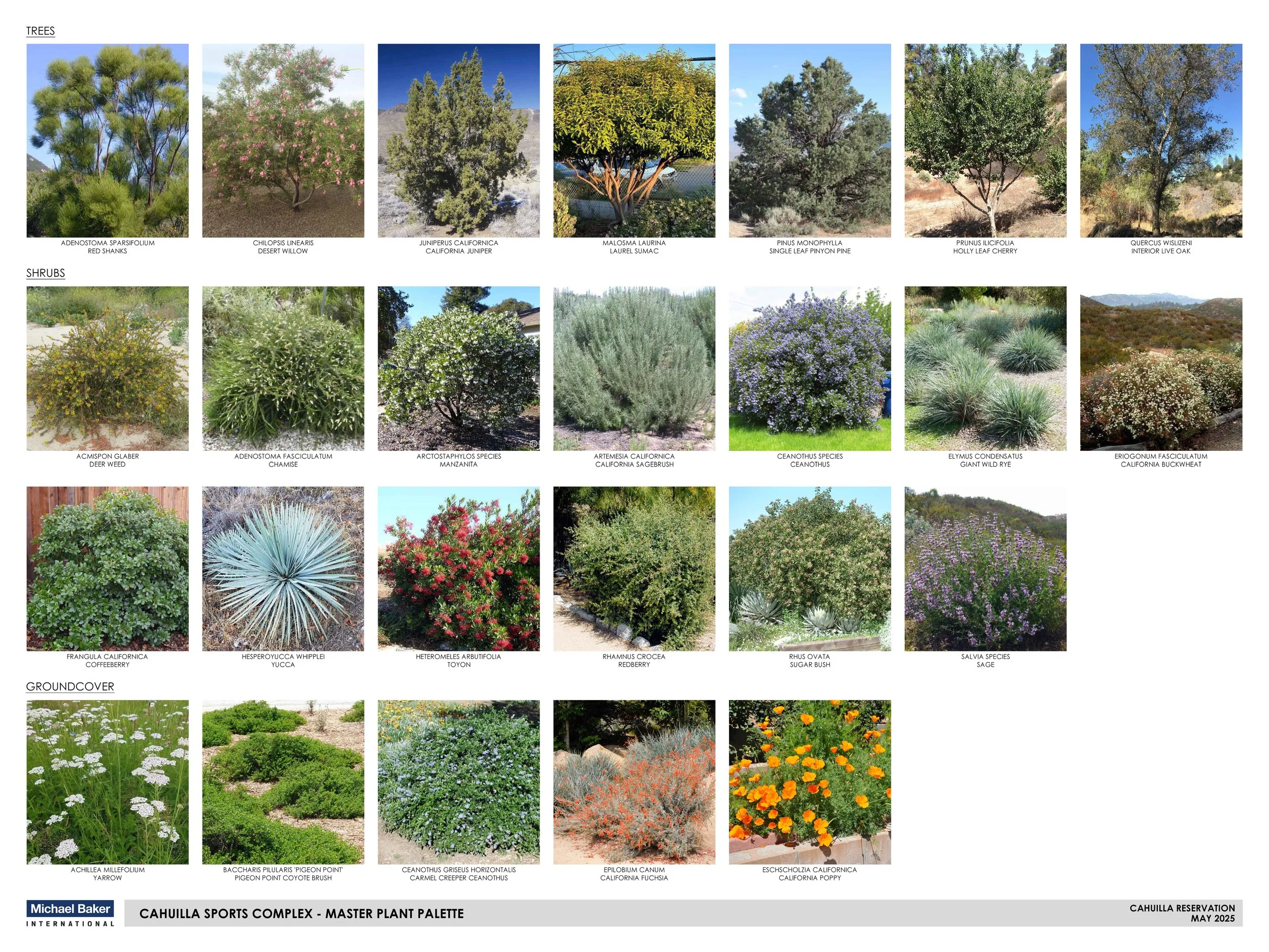 Plant Palette.jpg
