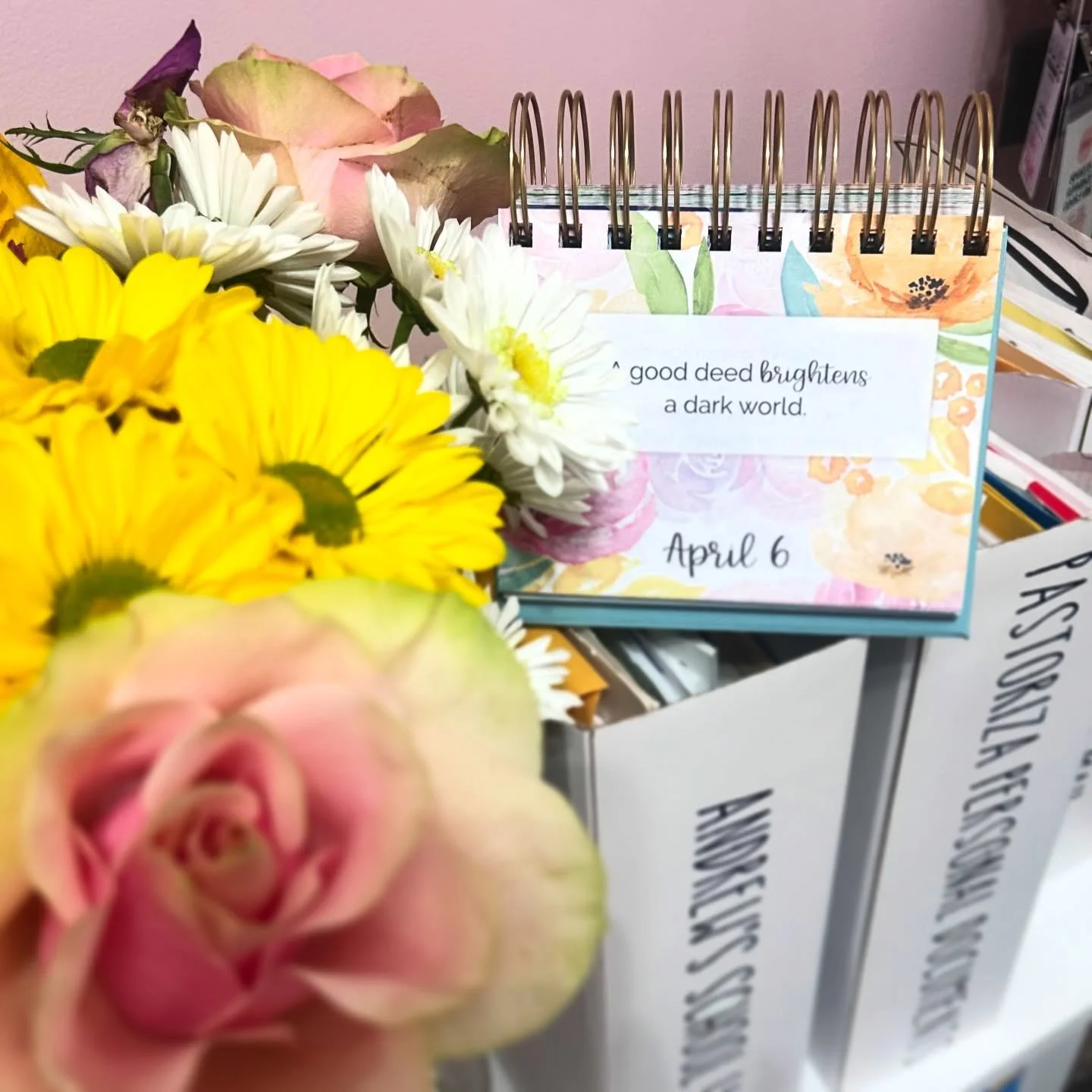 A little reminder today&hellip; the smallest things can shift everything. 🌸

Hope your day holds something unexpectedly good.

#happymonday😊