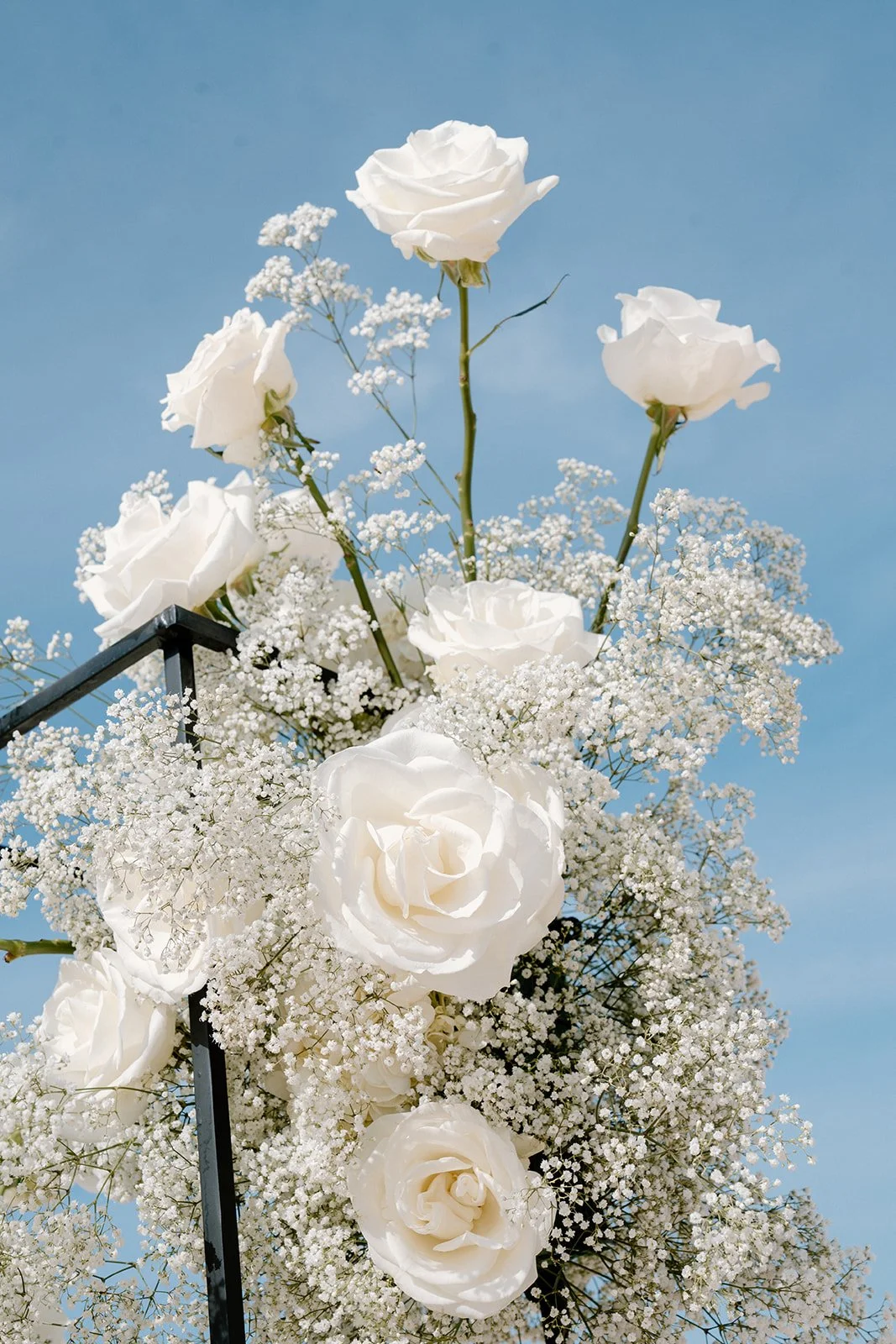 White roses and baby's breath flowers arranged outdoors against a blue sky with some clouds.