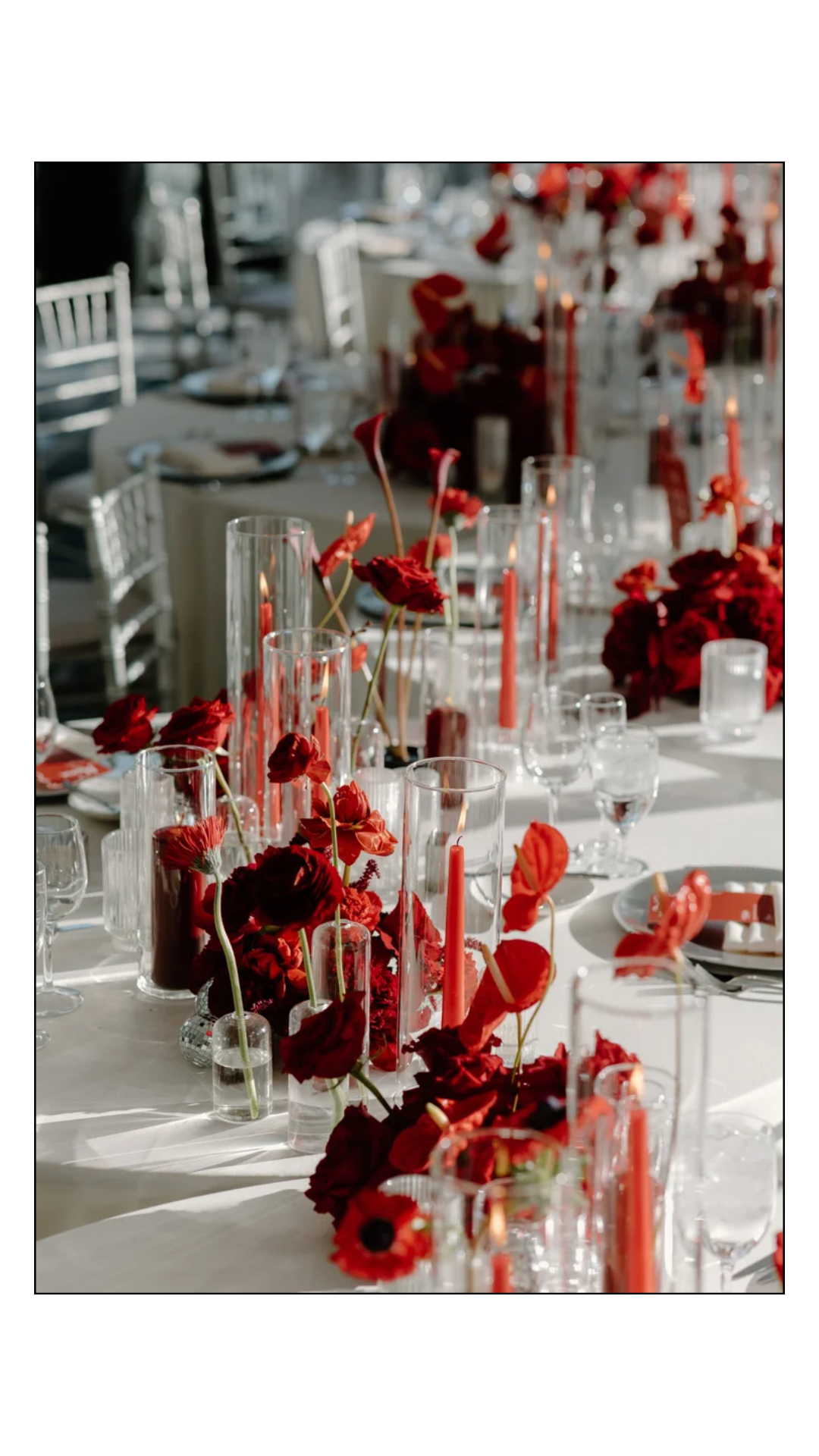 Royal Sonesta Wedding | Chicago, IL