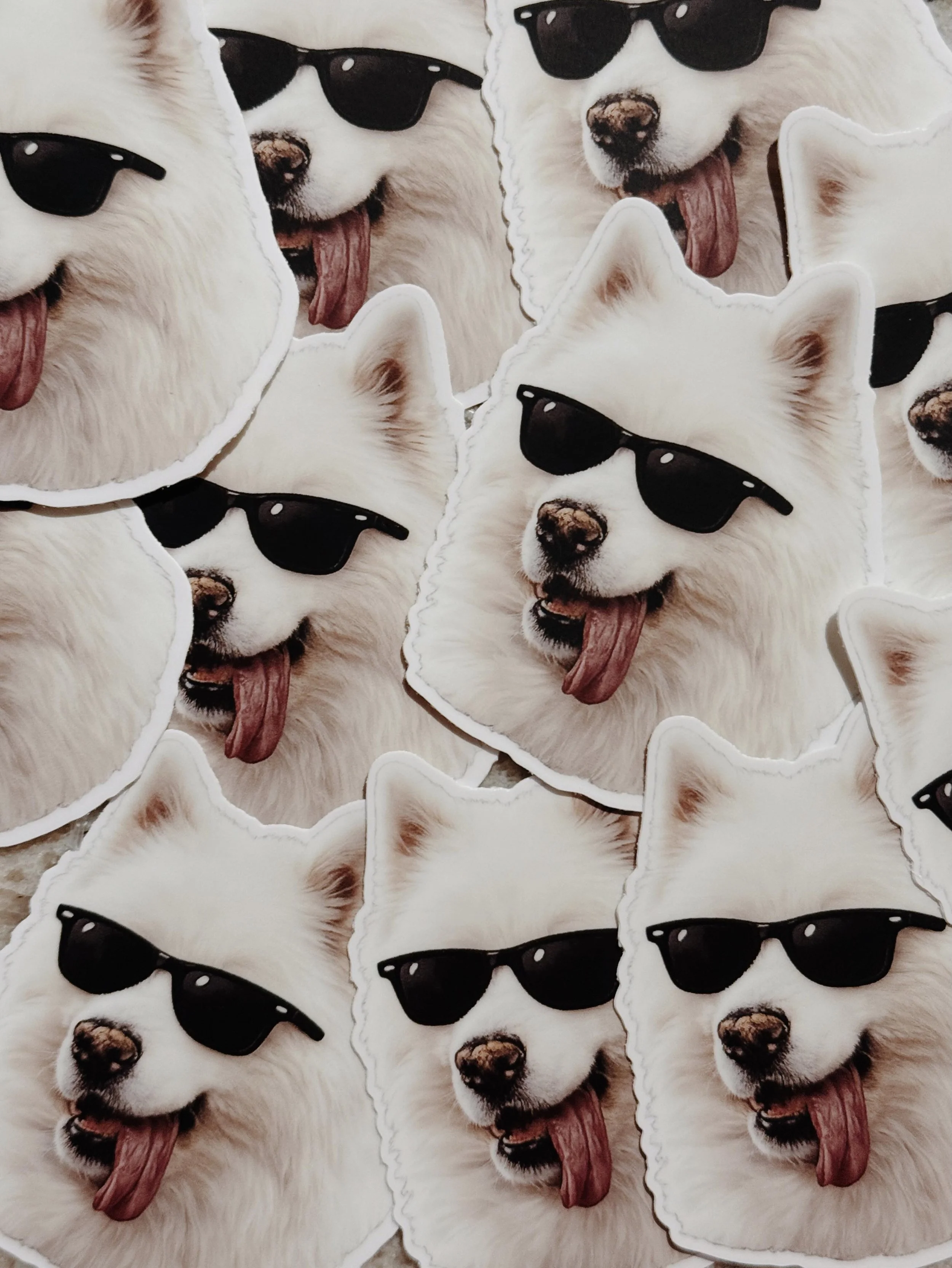 Dog days of summer.