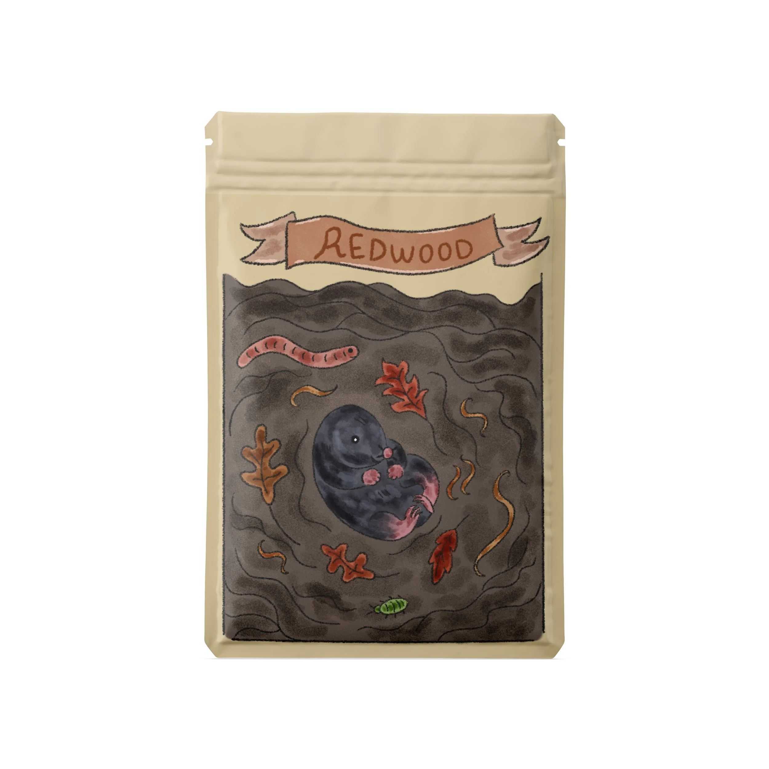 seed packet front mockup.jpg