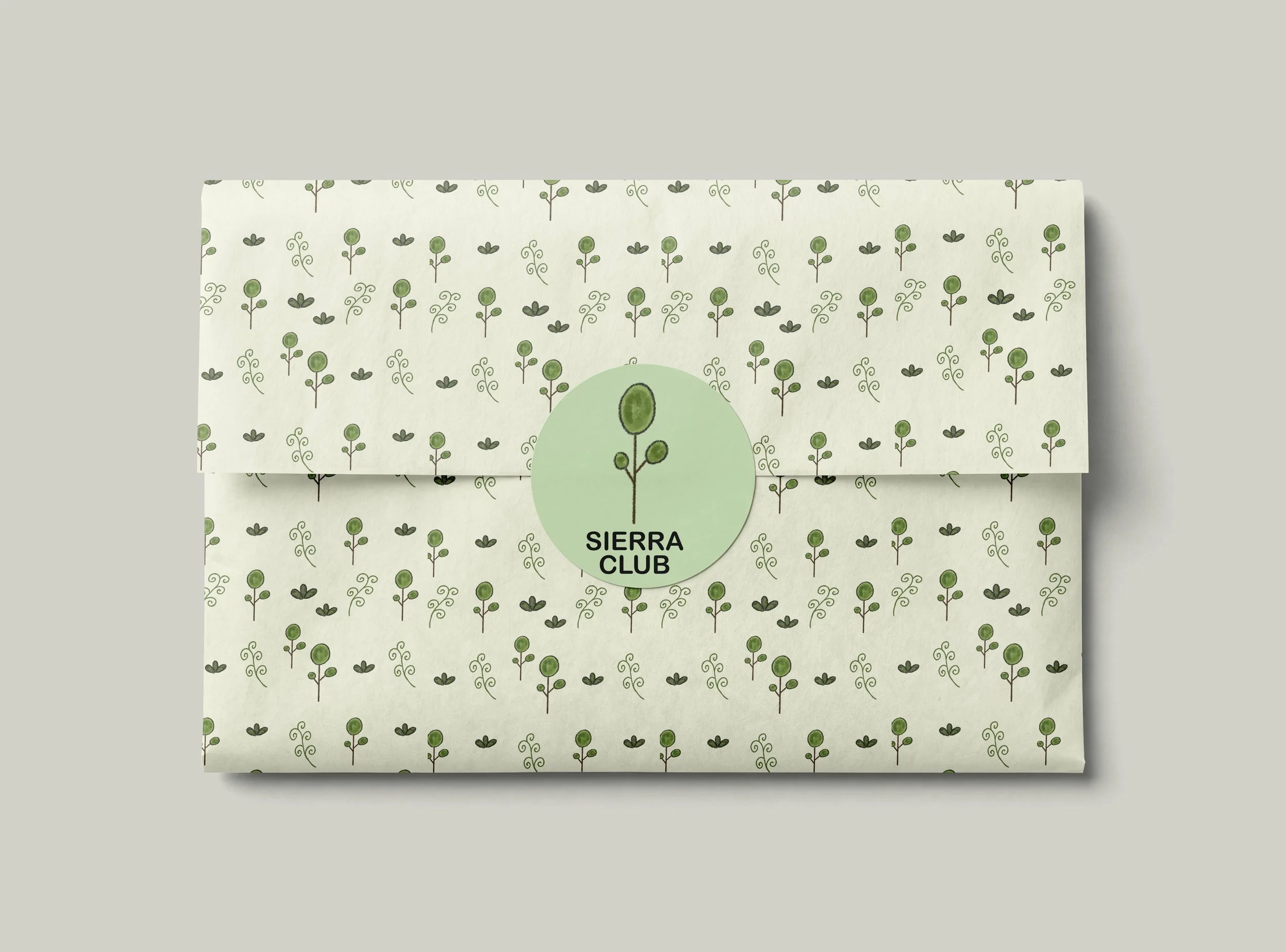 sierra club packaging mockup.jpg