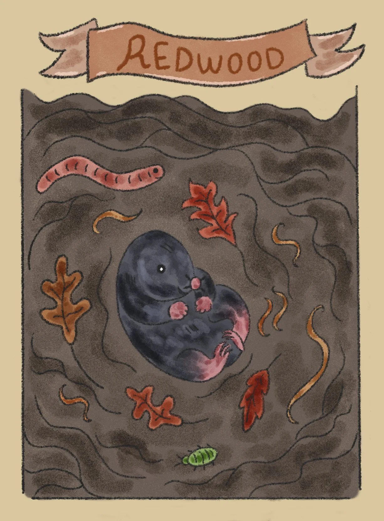 endangered animals / Sierra club / mole rat