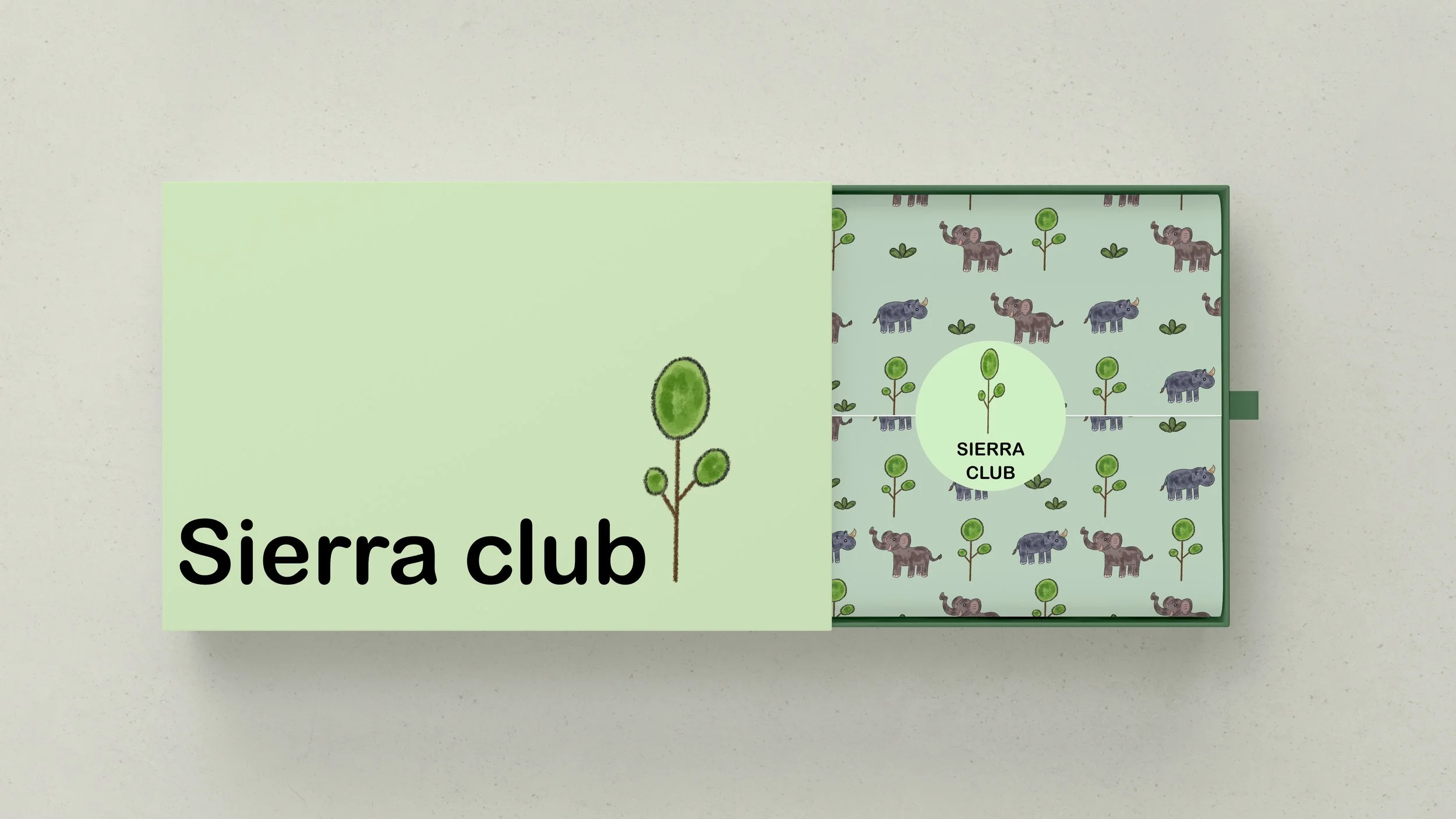 packaging box.jpg