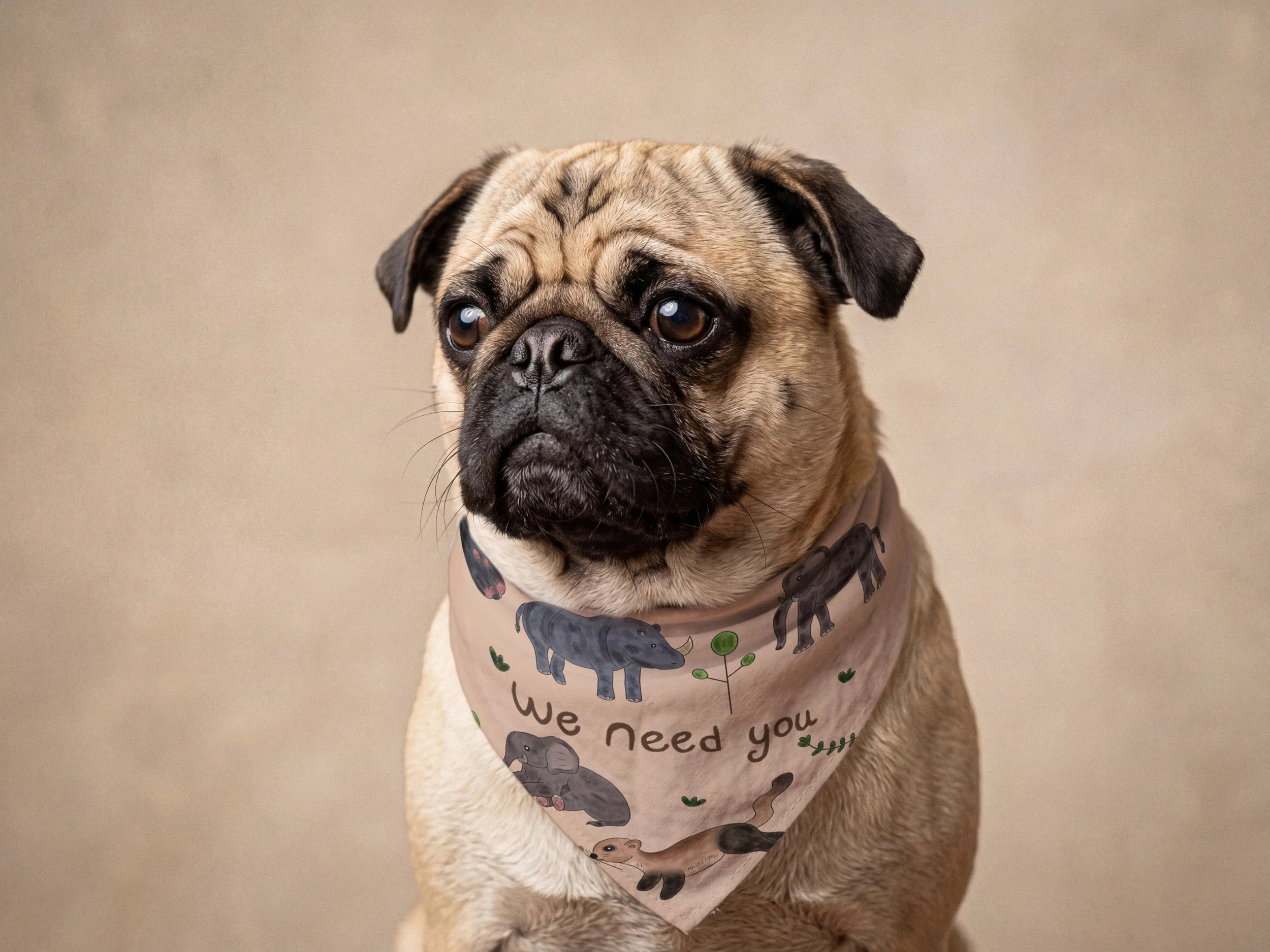 bandanna mockup.jpg