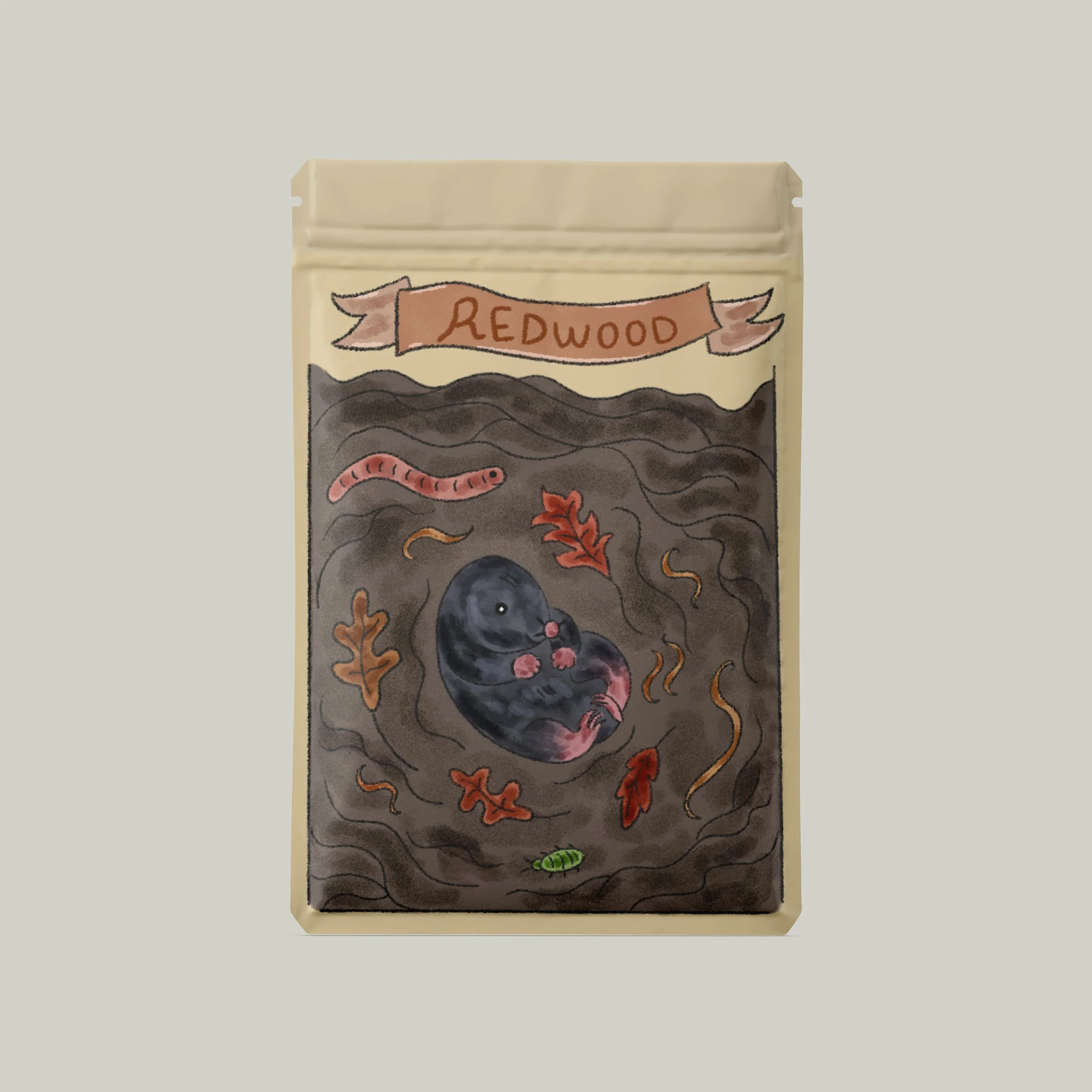 seed pack front mockup.jpg