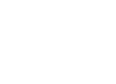 Stylized black and white cloud with a swirling spiral design inside it.